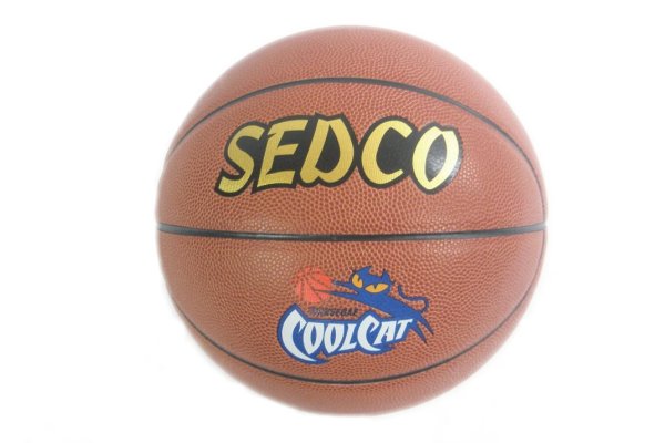 Basketbalov lopta SEDCO COOL CAT 5