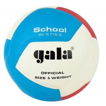 Volejbalov lopta GALA School BV5715S