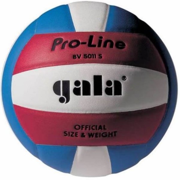 Volejbalov lopta GALA Pro-Line BV5011S