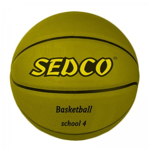 Basketbalov m SEDCO School